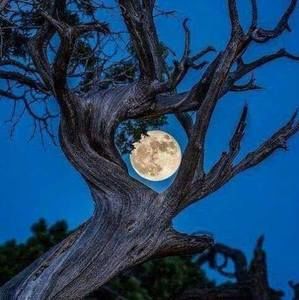 Meet your Posher, Jihaan